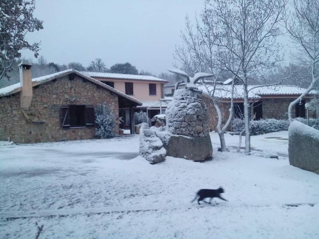 Hotel Il Nido Dell'Aquila Villanova Strisaili エクステリア 写真