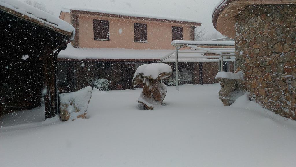 Hotel Il Nido Dell'Aquila Villanova Strisaili エクステリア 写真