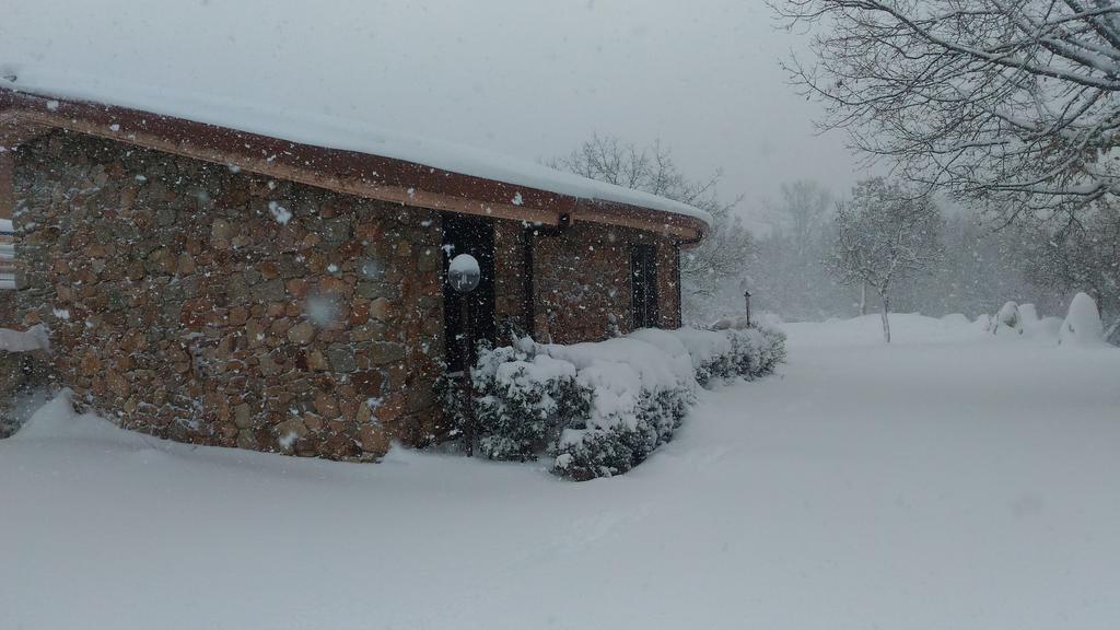 Hotel Il Nido Dell'Aquila Villanova Strisaili エクステリア 写真