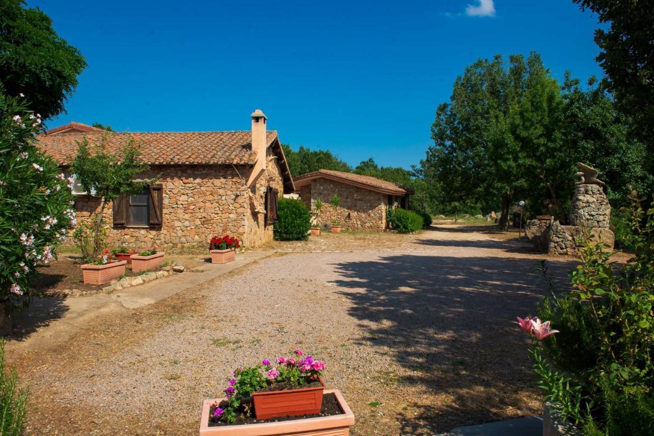Hotel Il Nido Dell'Aquila Villanova Strisaili エクステリア 写真